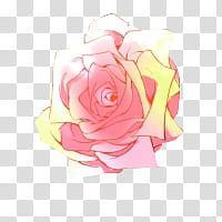 Watchers, pink and yellow rose illutration transparent background PNG clipart