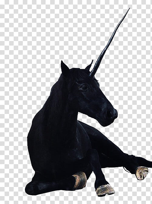 RNDOM, black unicorn transparent background PNG clipart