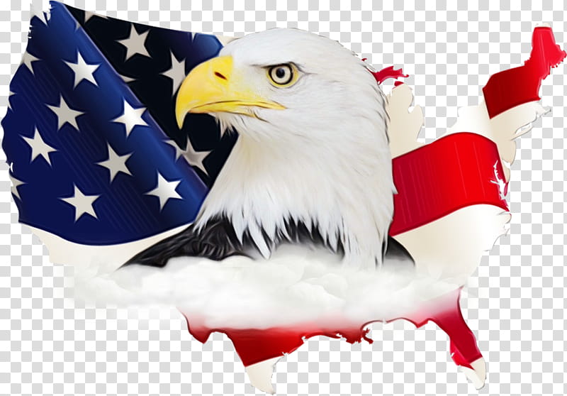 Veterans Day United States, Flag Of The United States, Us State, Map, Blank Map, Flag Of The Philippines, Union Jack, Bald Eagle transparent background PNG clipart