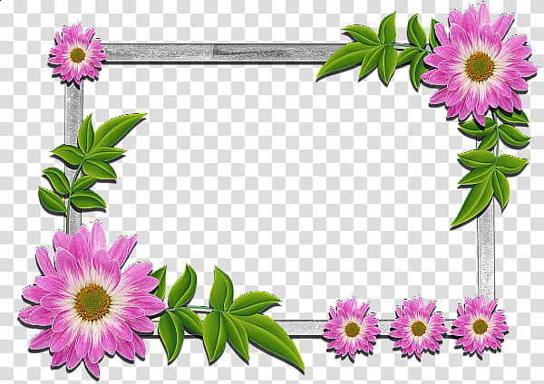 Floral Background Frame, BORDERS AND FRAMES, Flower, Frames, Floral Design, Cut Flowers, Flower Bouquet, Plant transparent background PNG clipart