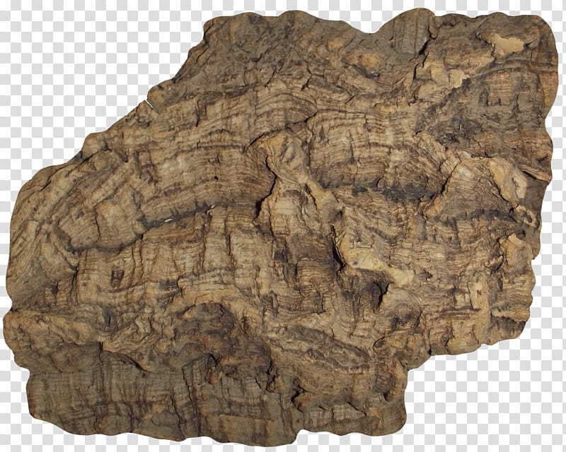 Phellem Cork Bark  Clear Cut, brown stone transparent background PNG clipart