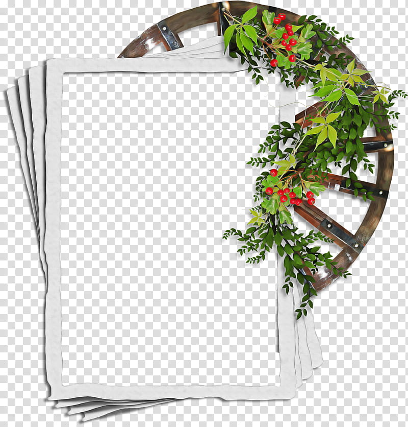 frame, Plant, Branch, Twig, Ivy, Frame, Flower, Vascular Plant transparent background PNG clipart