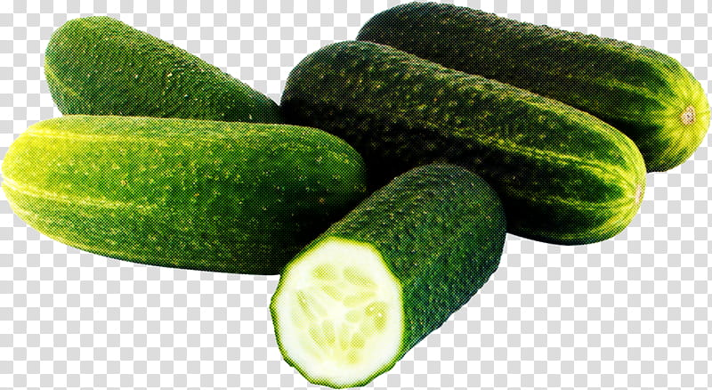vegetable plant cucumber cucumber, gourd, and melon family zucchini, Cucumber Gourd And Melon Family, Food, Winter Melon, Cucumis, Natural Foods transparent background PNG clipart