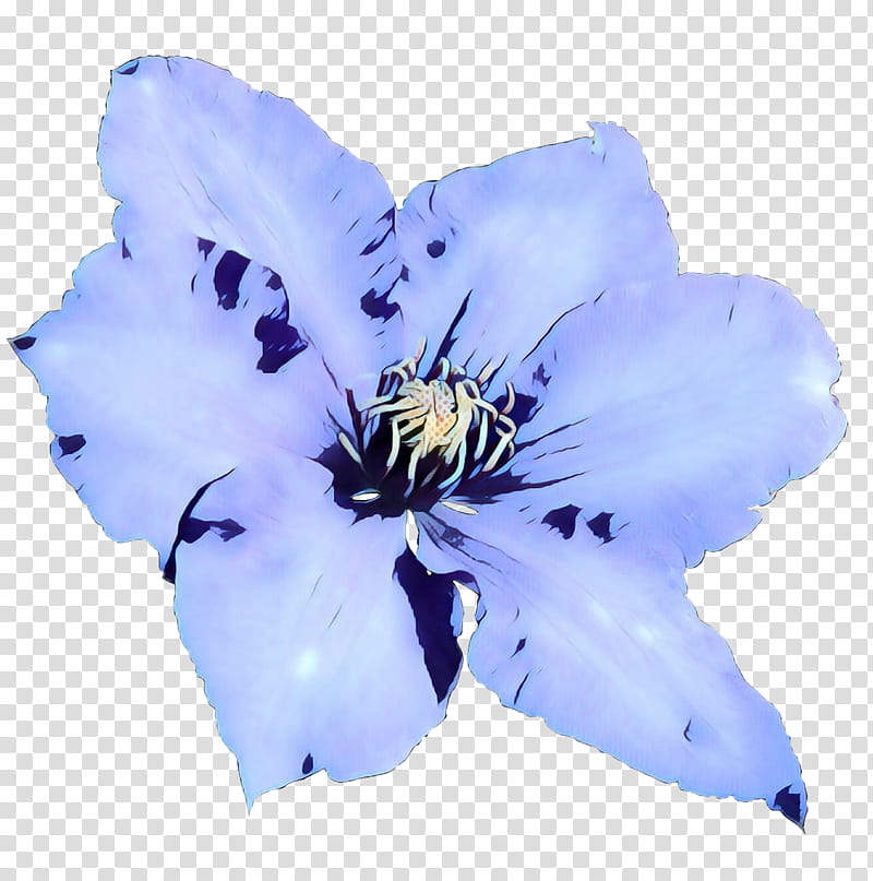 Watercolor Flower, Plants, Petal, Violet, Clematis, Delphinium, Watercolor Paint, Gentian Family transparent background PNG clipart