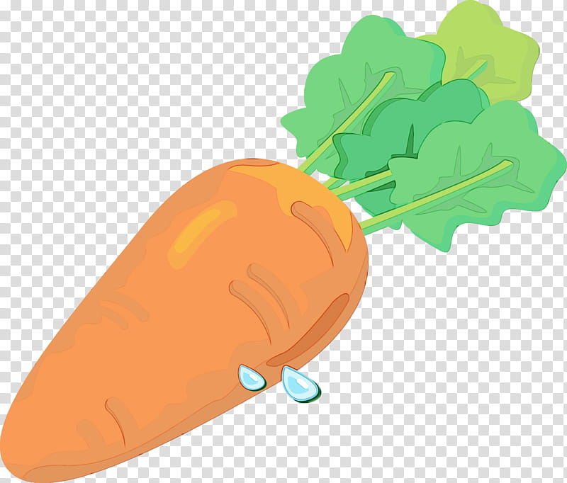 Leaf Watercolor, Paint, Wet Ink, Carrot, Vegetable, Food, Fruit, Carrot Cake transparent background PNG clipart