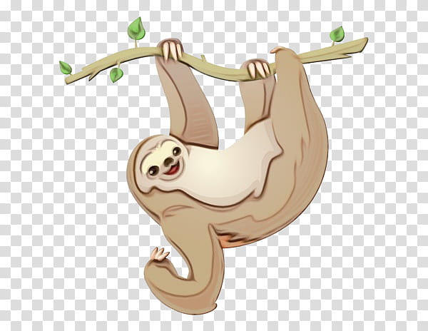 sloth cartoon three-toed sloth tail two-toed sloth, Watercolor, Paint, Wet Ink, Threetoed Sloth, Twotoed Sloth transparent background PNG clipart