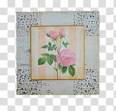 OMG, pink rose flowers painting transparent background PNG clipart