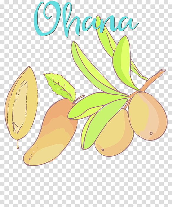 Mango Tree, Fruit, Hawaiian Language, Tshirt, SweatShirt, Ohana, Camiseta Premium, Leaf transparent background PNG clipart