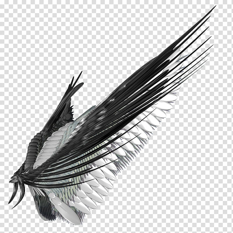 Wings Archangel, black and white wings illustration transparent background PNG clipart