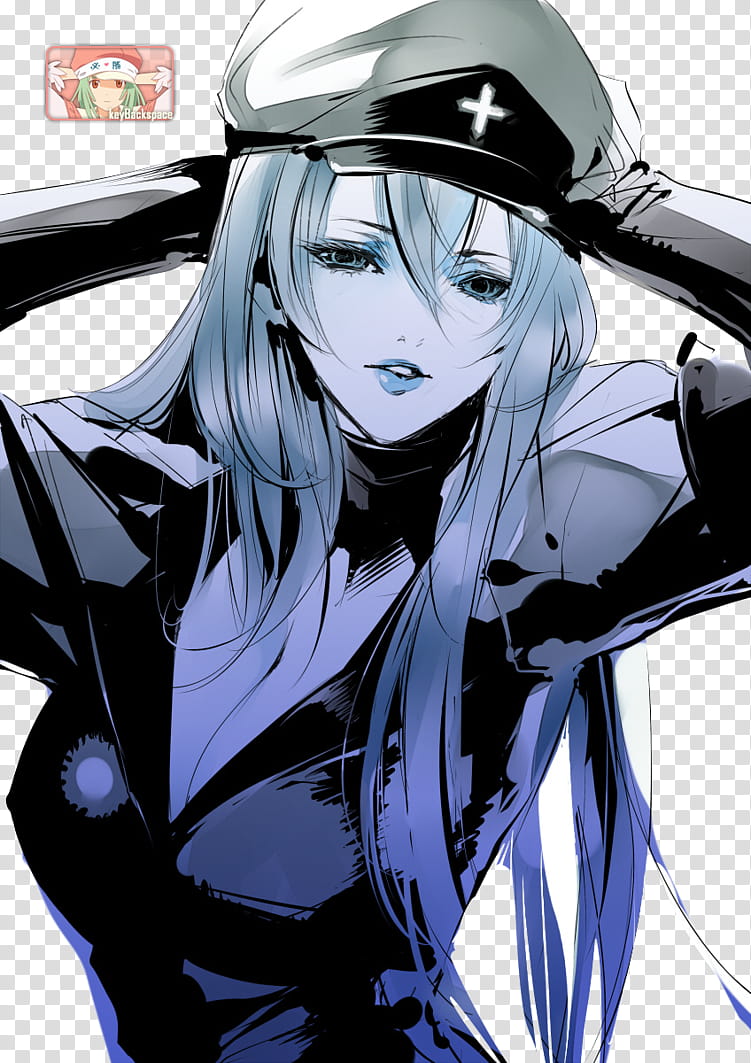 Esdeath (Akame ga Kill!), Render, female character illustration transparent background PNG clipart