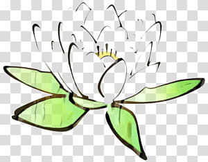 White Lily Flower, Nymphaea Nelumbo, Calligraphy, Drawing, Painting, Water Lily, Chinese Calligraphy, Stencil transparent background PNG clipart thumbnail