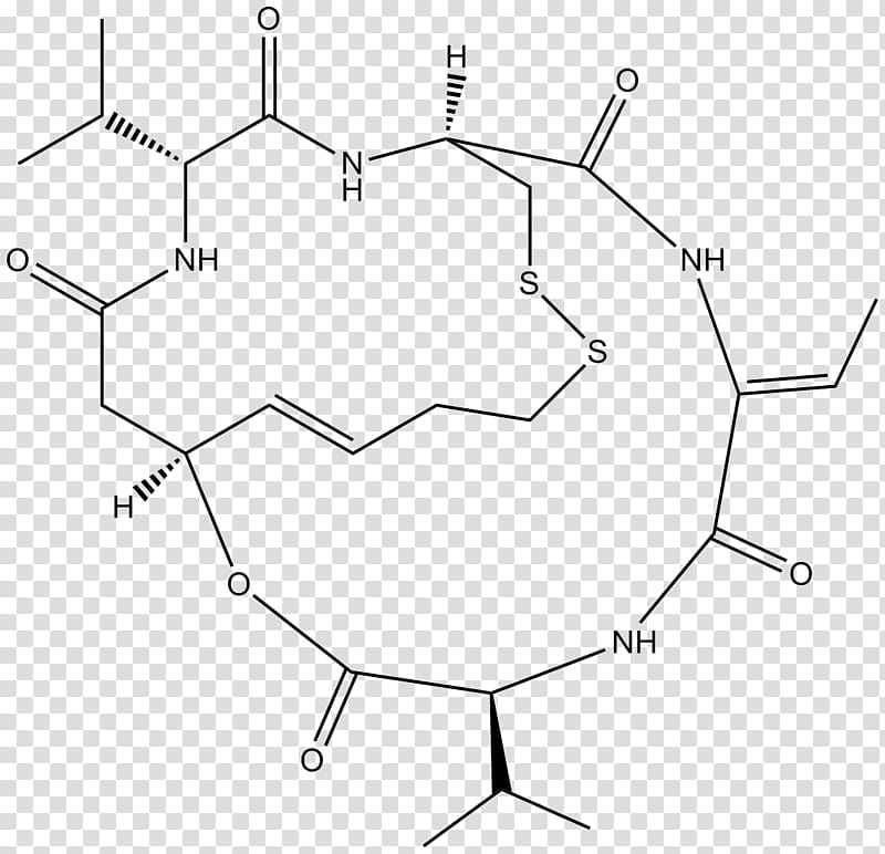 Romidepsin Text, Depsipeptide, Histone Deacetylase Inhibitor, Enzyme Inhibitor, Hdac1, Histone Deacetylase 2, Hdac6, Apicidin transparent background PNG clipart
