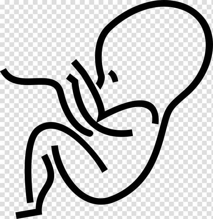 Pregnancy, Fetus, Prenatal Development, Drawing, Embryo, Infant, Uterus, Line Art transparent background PNG clipart