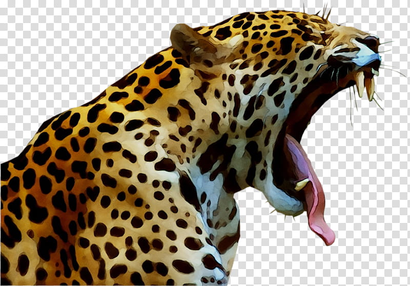 Lion Drawing, Jaguar, Cheetah, Leopard, Cat, Tiger, Animal, Painting transparent background PNG clipart