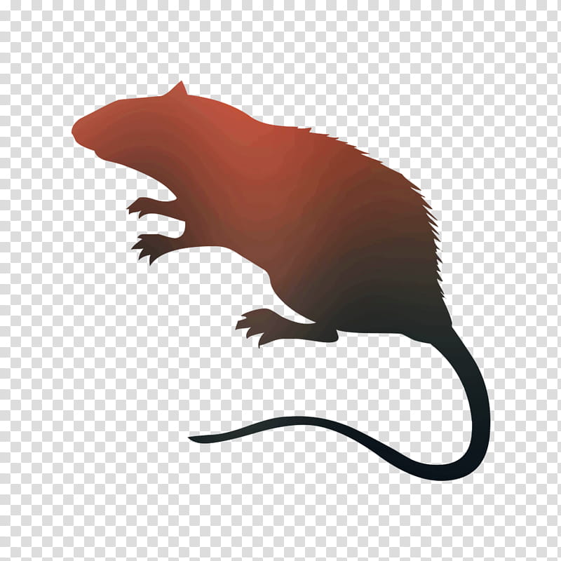 Animal, Rat, Silhouette, Muridae, Tail, Pest, Mouse, Animal Figure transparent background PNG clipart