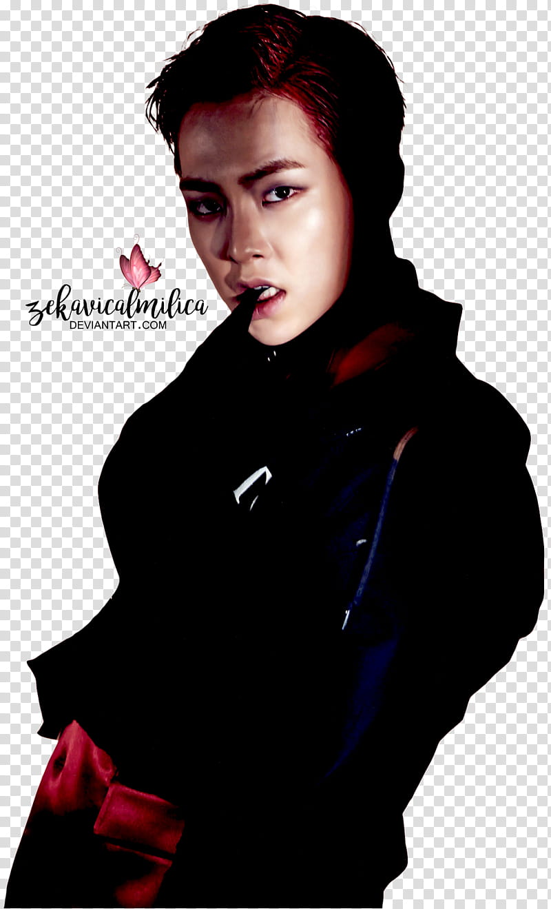 EXO Xiumin Monster transparent background PNG clipart