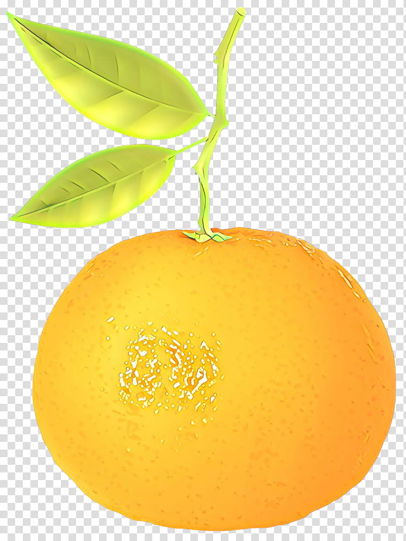 Orange, Citrus, Yellow, Fruit, Valencia Orange, Grapefruit, Mandarin Orange, Leaf transparent background PNG clipart