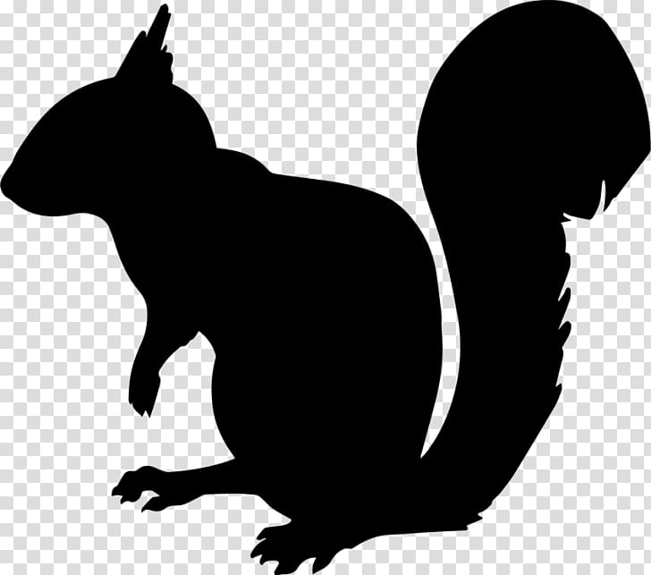 Squirrel, Eastern Gray Squirrel, Silhouette, Tree Squirrel, Black Squirrel, Flying Squirrel, Red Squirrel, Tail transparent background PNG clipart