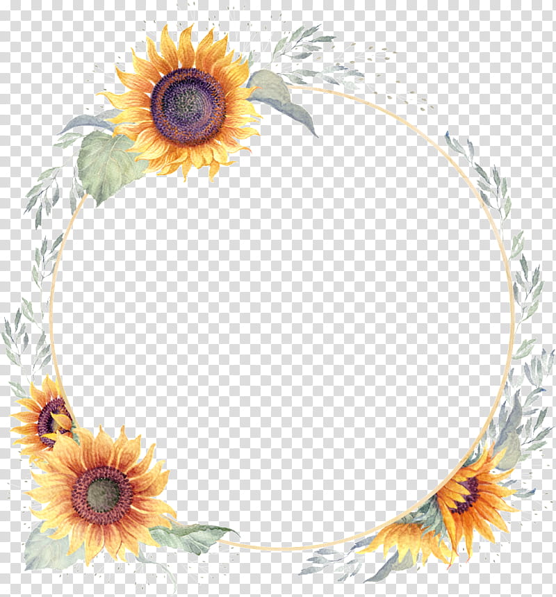 frame, Sunflower, Yellow, Plant, Daisy Family, Frame transparent background PNG clipart