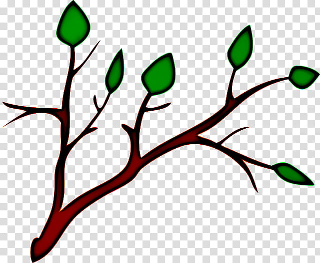 Green Flower, Branch, Twig, Tree, Leaf, Drawing, Wood, Bay Laurel transparent background PNG clipart