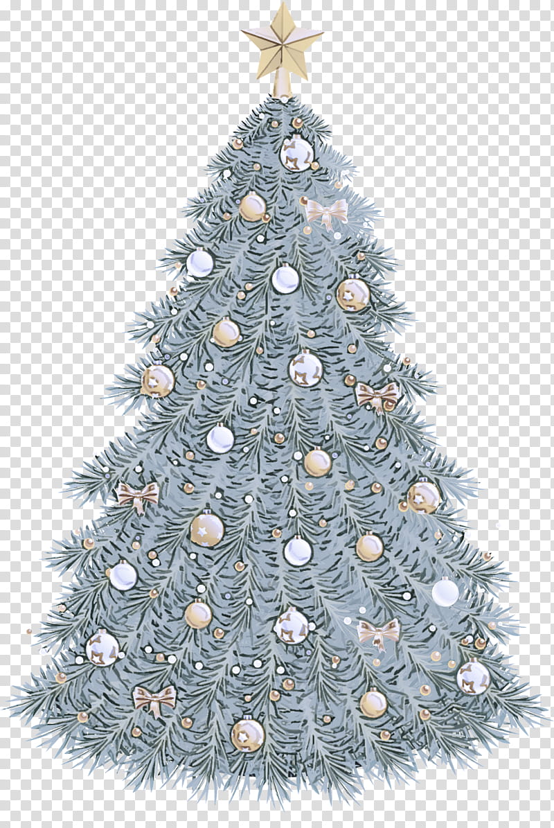 Christmas tree, Colorado Spruce, White Pine, Balsam Fir, Yellow Fir, Oregon Pine, Christmas Ornament, Christmas Decoration transparent background PNG clipart