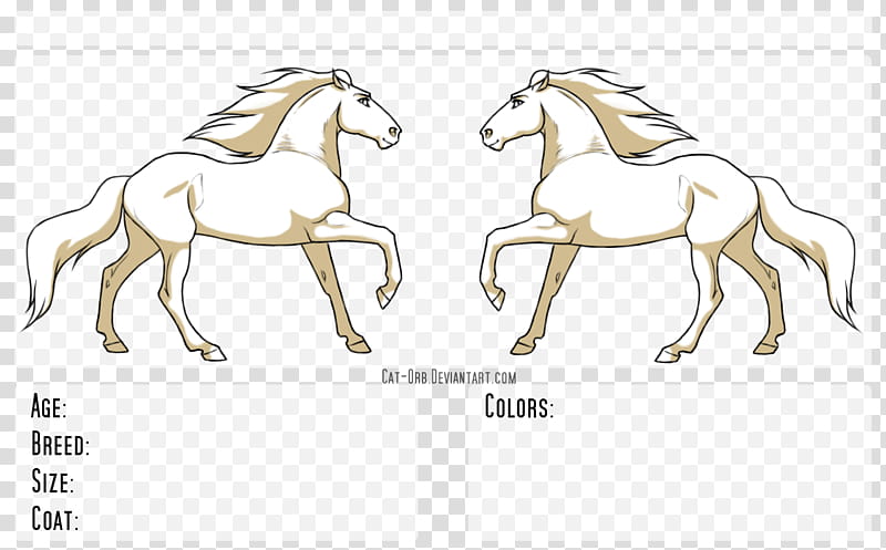 Free Reference Mare, two white horses illustration transparent background PNG clipart