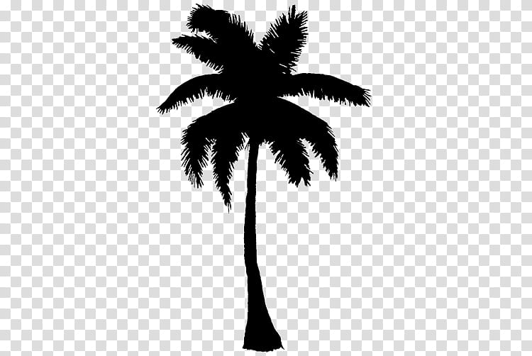 Palm Tree Silhouette, Asian Palmyra Palm, Black White M, Palm Trees, Leaf, Plant Stem, Plants, Borassus transparent background PNG clipart