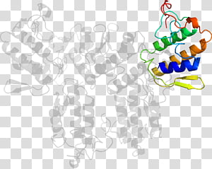 Text, Human, Behavior, Line transparent background PNG clipart thumbnail