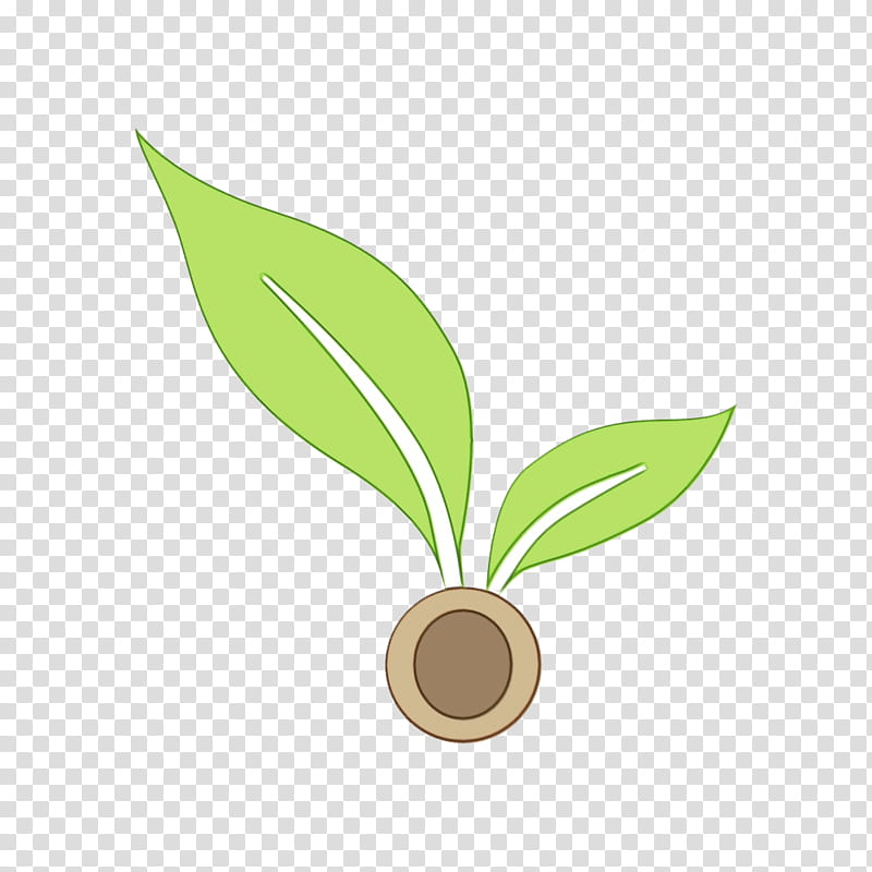 Lily Flower, Leaf, Logo, Green, Plant Stem, Plants, Grass, Lily Of The Valley transparent background PNG clipart