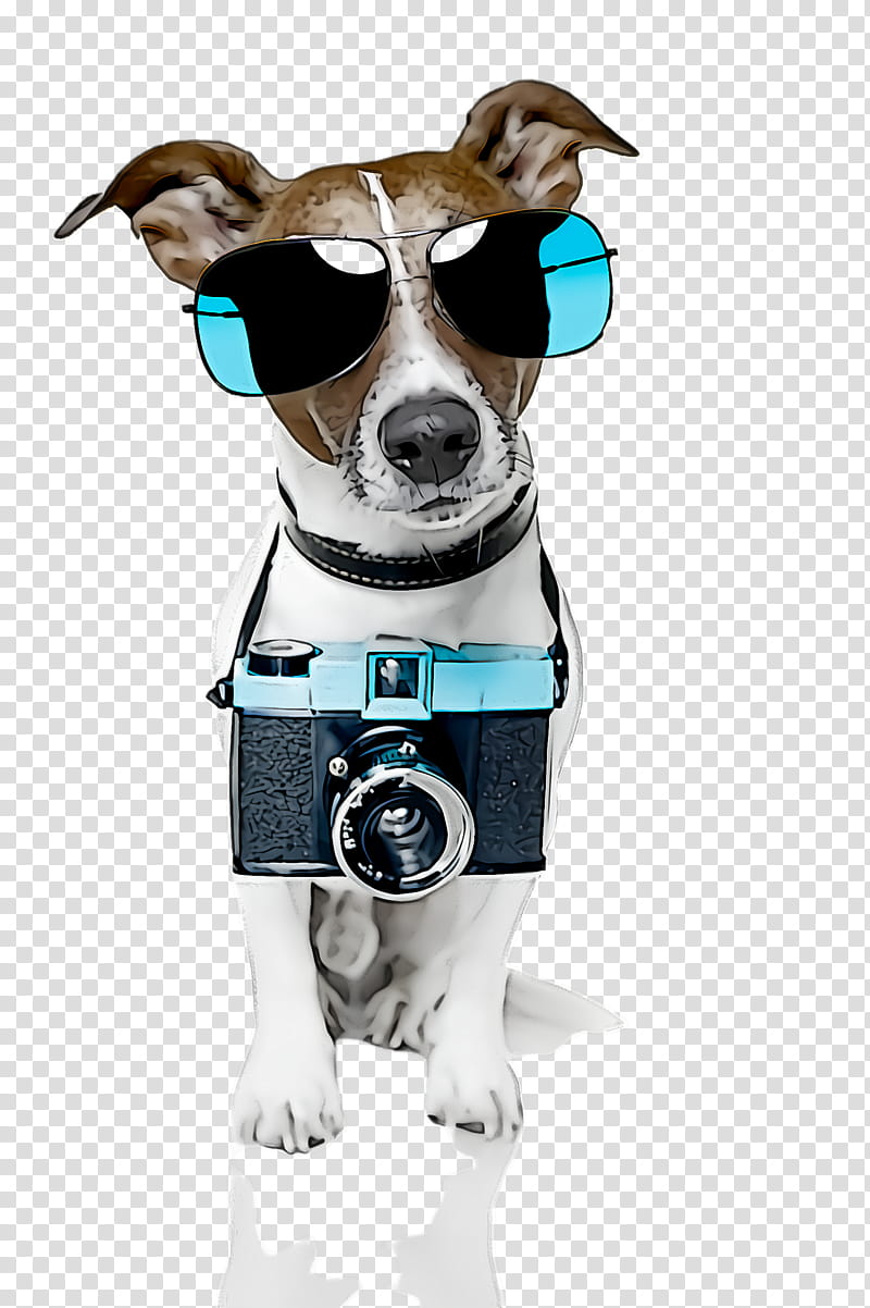 dog cartoon snout leash collar, Feist transparent background PNG clipart