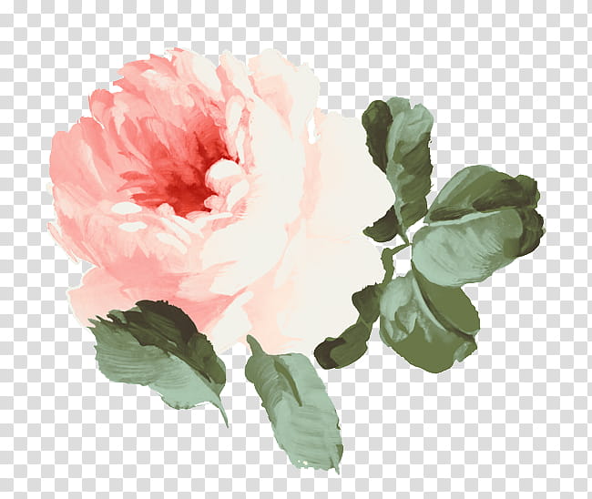 Flower Vy Tuzki, pink rose illustration transparent background PNG clipart