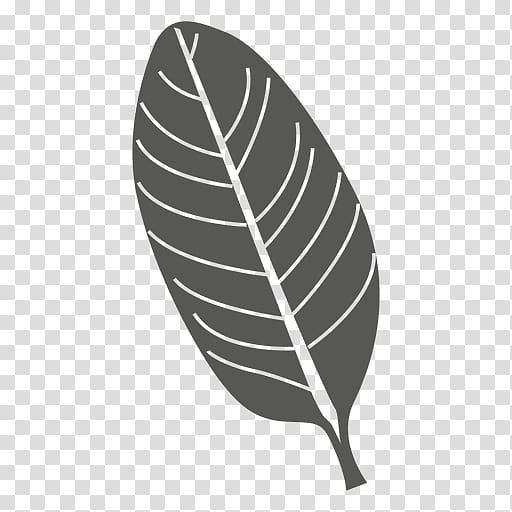 Leaf Drawing, Line, Plants, Trazo, Feather, White, Black, Blackandwhite transparent background PNG clipart
