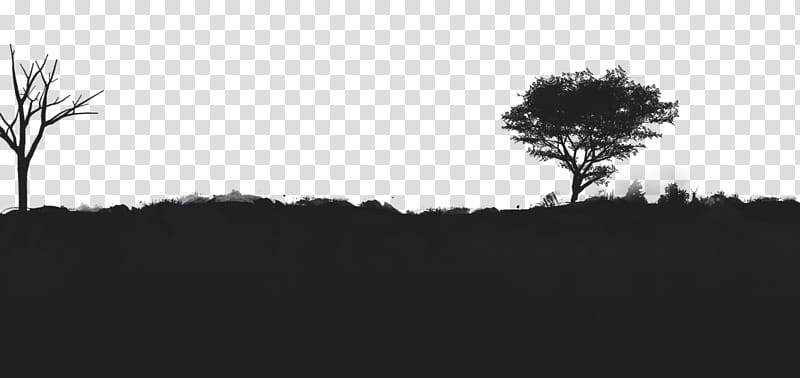Tree Branch Silhouette, Kozhikode, Black White M, Mobile Phones, Computer, Resort, Hill Station, Youtube transparent background PNG clipart