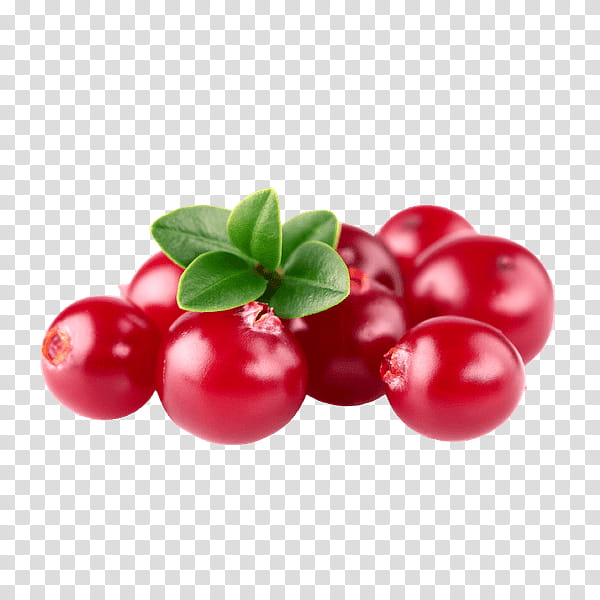 Red Flower, Lingonberry, Cranberry, Cobbler, Berries, Cherries, Food, Clausena Lansium transparent background PNG clipart