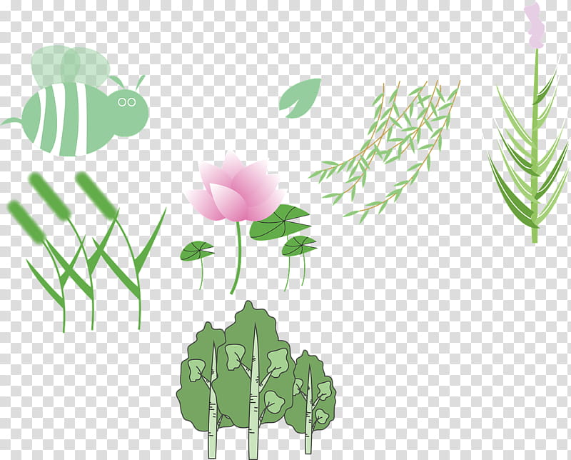 Sweet Pea Flower, Drawing, Nymphaea Nelumbo, Silhouette, Watercolor Painting, Lotus, Plant, Leaf transparent background PNG clipart