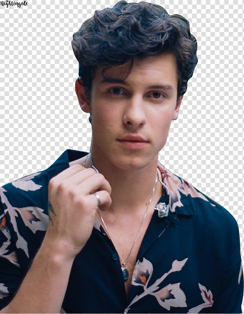 Shawn Mendes ,,SAM () transparent background PNG clipart