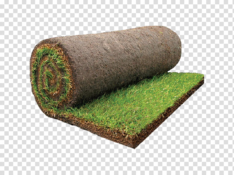 Green Grass, Taunton, Devon, Landscape Design, Landscaping, Lawn, Abacus, Somerset transparent background PNG clipart