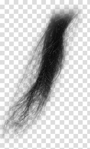 Hair, black human hair transparent background PNG clipart
