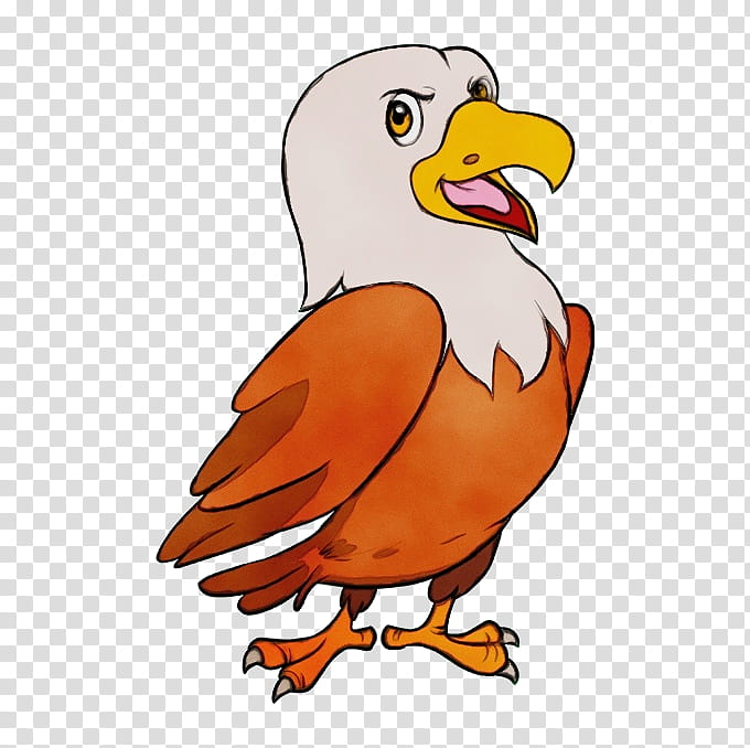 Eagle Drawing, Watercolor, Paint, Wet Ink, Hawk, Cartoon, Henery Hawk, Coloring Book transparent background PNG clipart