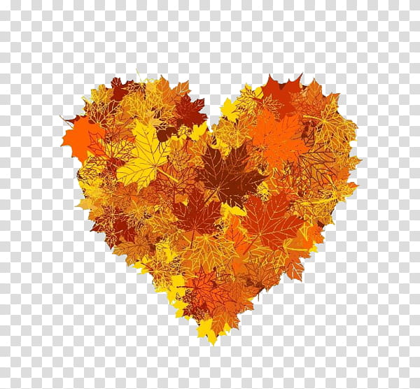 Love Background Heart, Autumn, Yellow, Orange, Leaf, Plant, Tree, Flower transparent background PNG clipart