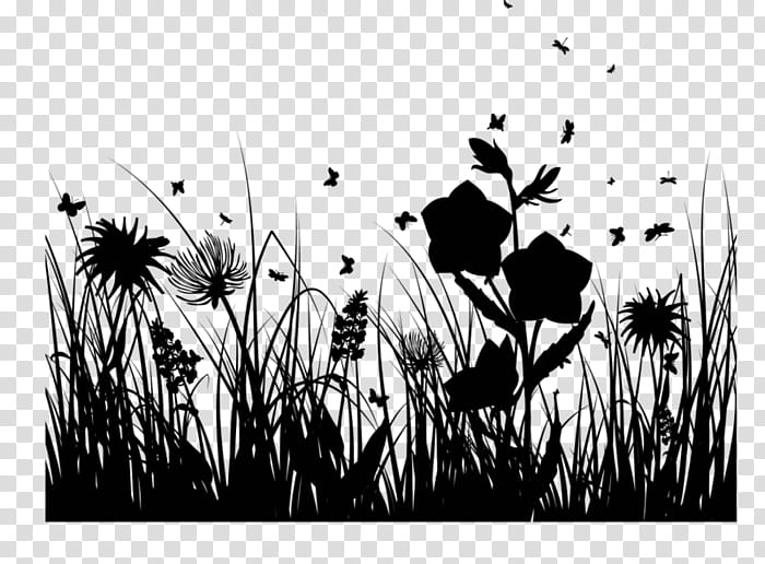 Flower Silhouette, Grasses, Commodity, Computer, Blackandwhite, Plant, Wildflower, Grass Family transparent background PNG clipart