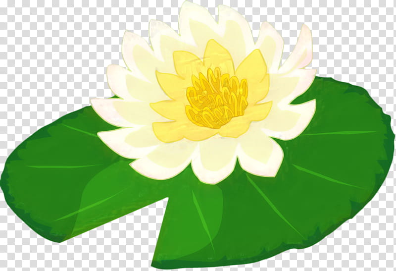 lily pad flower cartoon