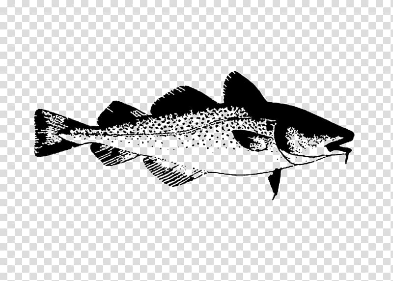 Fish, Sardine, Mackerel, Barramundi, Line, Trout, Bass, Northern Largemouth Bass transparent background PNG clipart