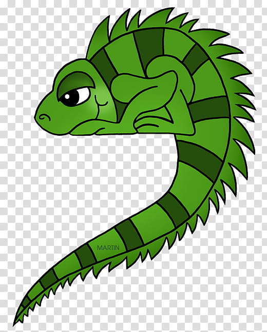 Green Grass, Lizard, Green Iguana, Cartoon, Animal, Lepidosauria, Amphibians, Rainforest transparent background PNG clipart