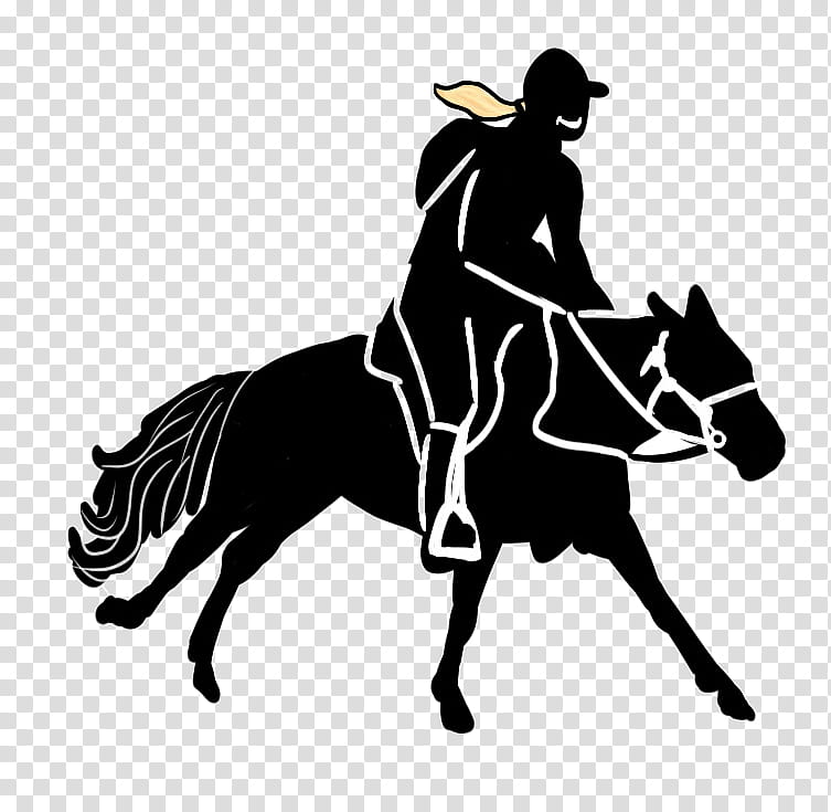 Horse, Mustang, Stallion, English Riding, Equestrian, Rein, Friesian Horse, Pony transparent background PNG clipart