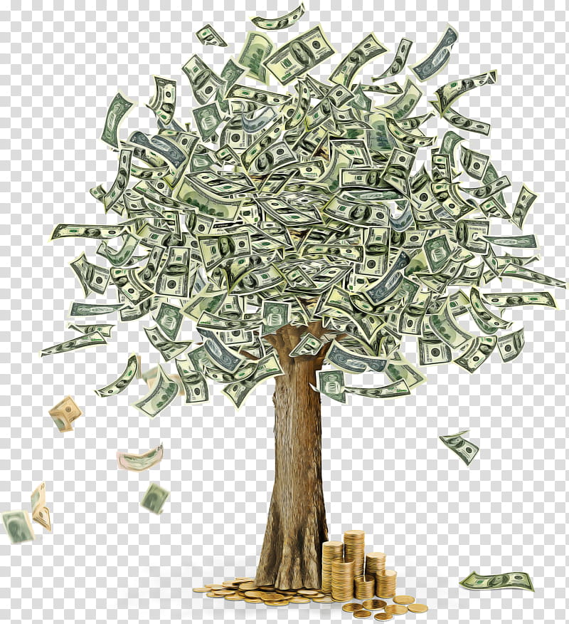 Plane, Tree, Money, Currency, Plant, Woody Plant, Money Handling, Plant Stem transparent background PNG clipart