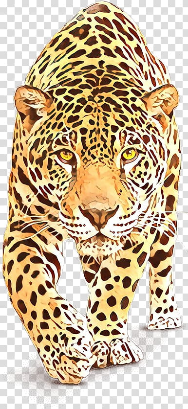 terrestrial animal wildlife jaguar african leopard animal figure, Cartoon, Head, Whiskers, Snout, Big Cats transparent background PNG clipart