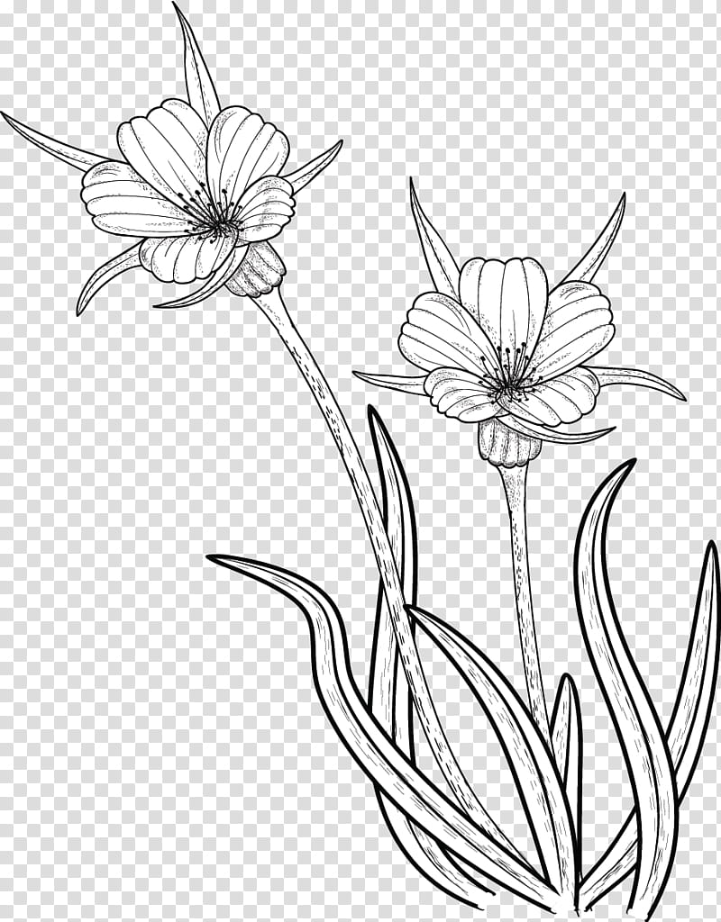 FIower N, illustration of flowers transparent background PNG clipart
