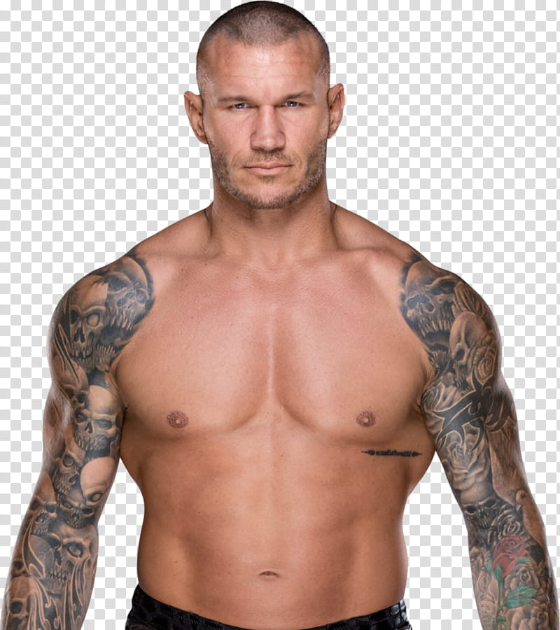 Randy Orton NEW  transparent background PNG clipart