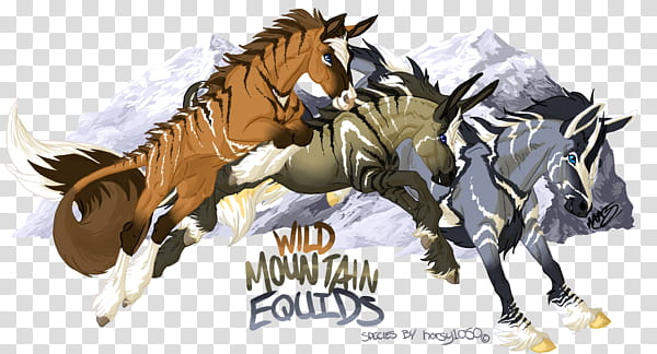 My Three Wild Mountain Equids transparent background PNG clipart